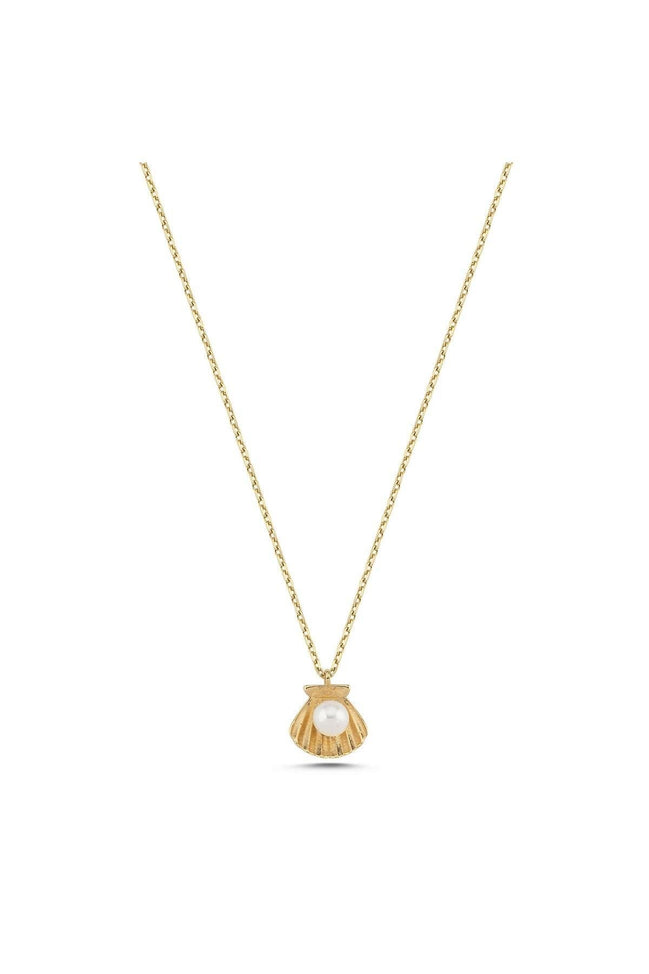 Oyster Natural Pearl Necklace