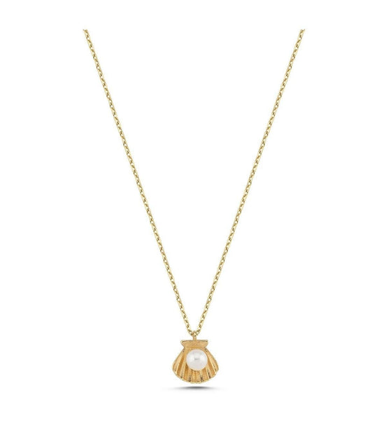 Oyster Natural Pearl Necklace