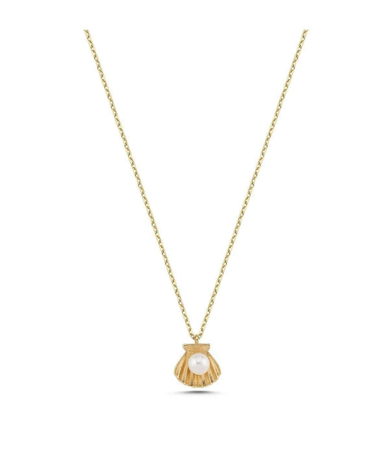 Oyster Natural Pearl Necklace