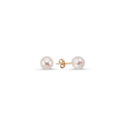 Natural Pearl Top Earring