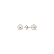 White Natural Pearl Earrings